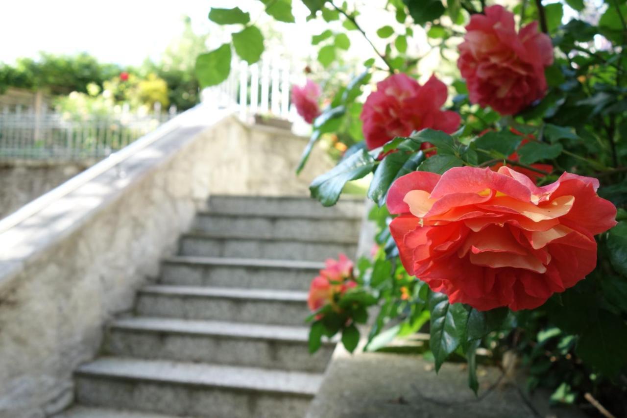 Villa Sonnenstrahl Mariánské Lázně Exterior foto